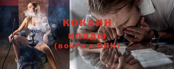 шишки Костерёво