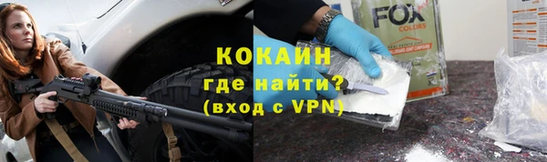 шишки Костерёво