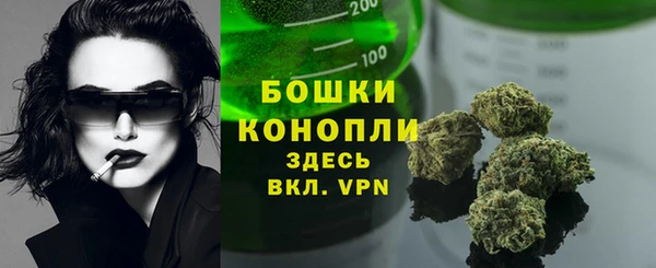не бодяженный Корсаков