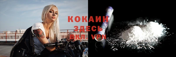 шишки Костерёво