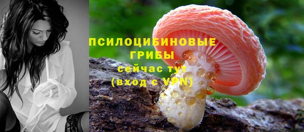 не бодяженный Корсаков