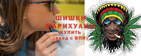 шишки Костерёво