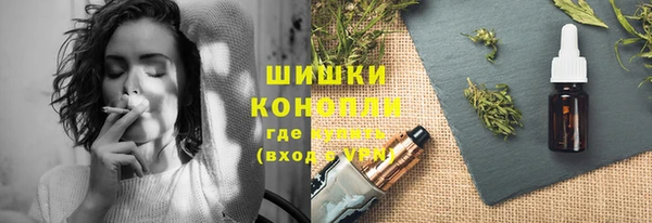 шишки Костерёво