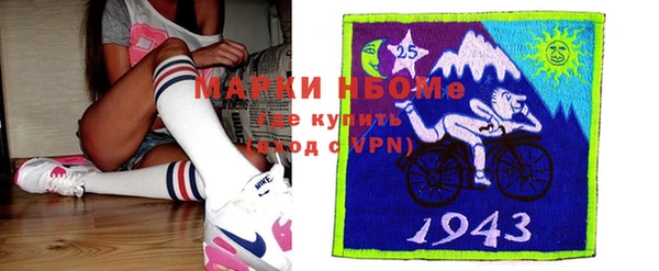шишки Костерёво