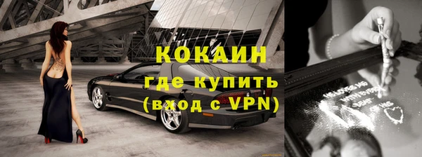 шишки Костерёво