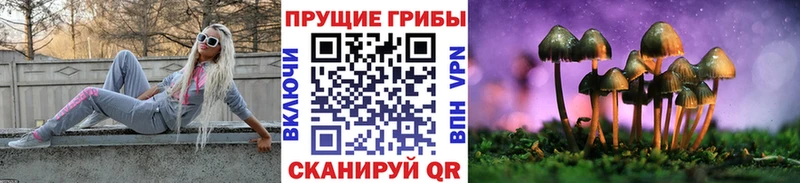 Галлюциногенные грибы MAGIC MUSHROOMS  Купить  Дегтярск 
